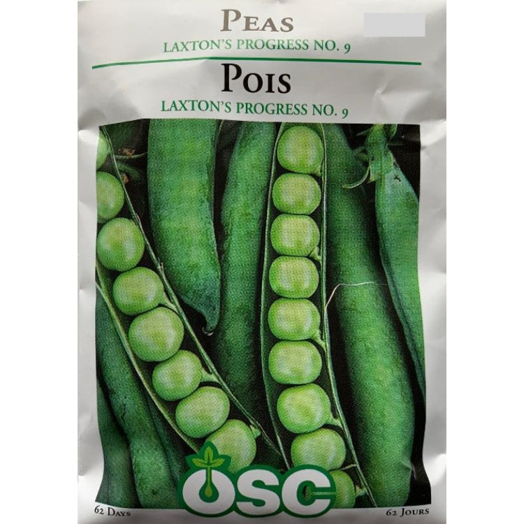 Peas Seeds- Laxton's Progress No.9