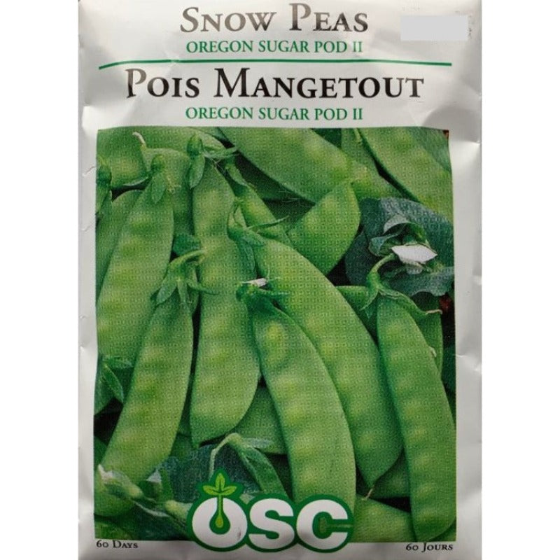 Peas Seeds- Oregon Sugar Pod II (Snow)