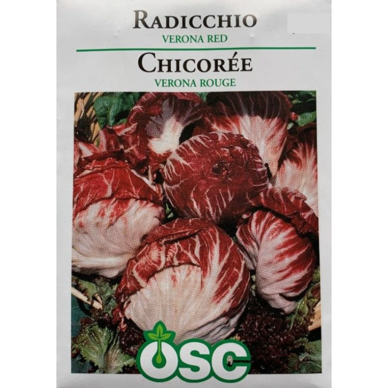 Radicchio Seeds- Verona Red