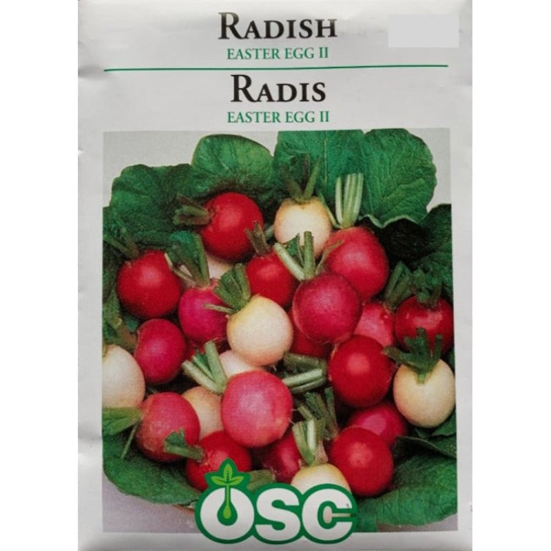 Radish Seeds- Easter Egg II