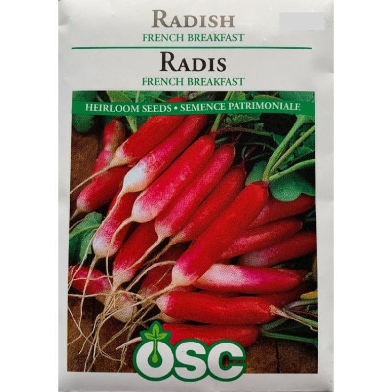 Radish Seeds- French Breakfast