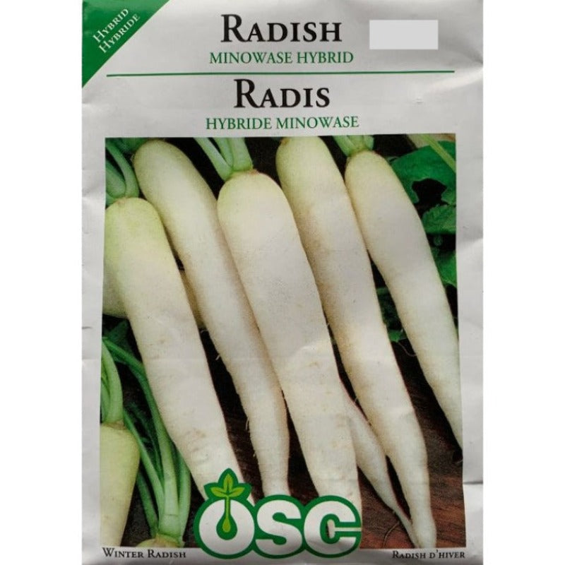 Radish Seeds- Minowase Hybrid