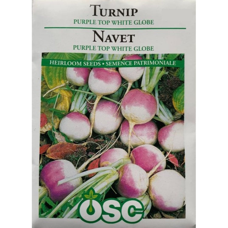 Turnip Seeds- Purple Top White Globe