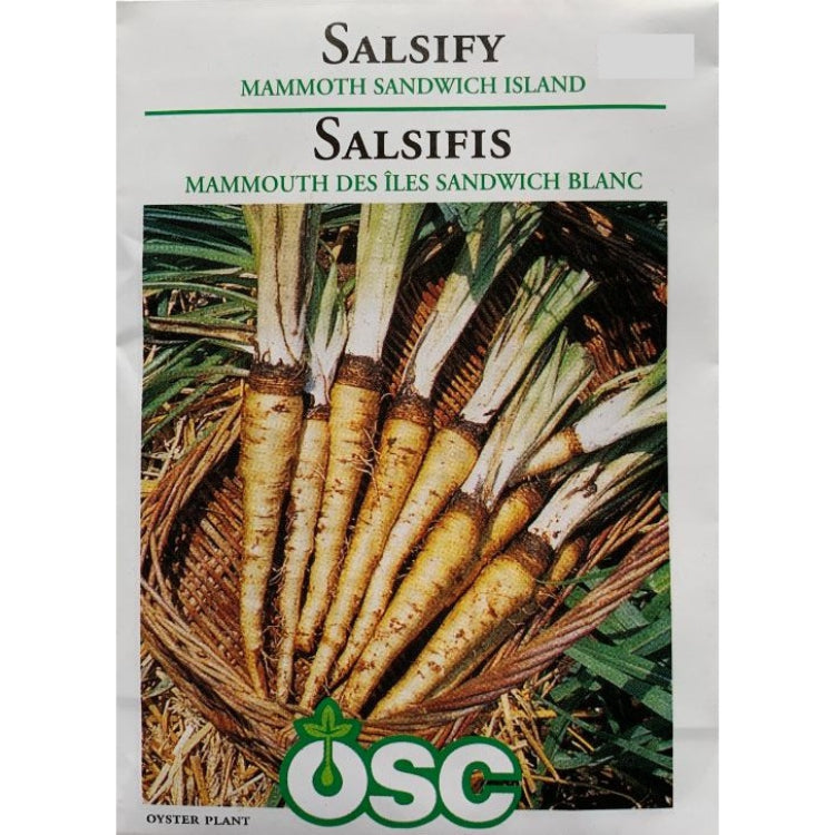 Salsify Seeds- Mammoth Sandwich Island