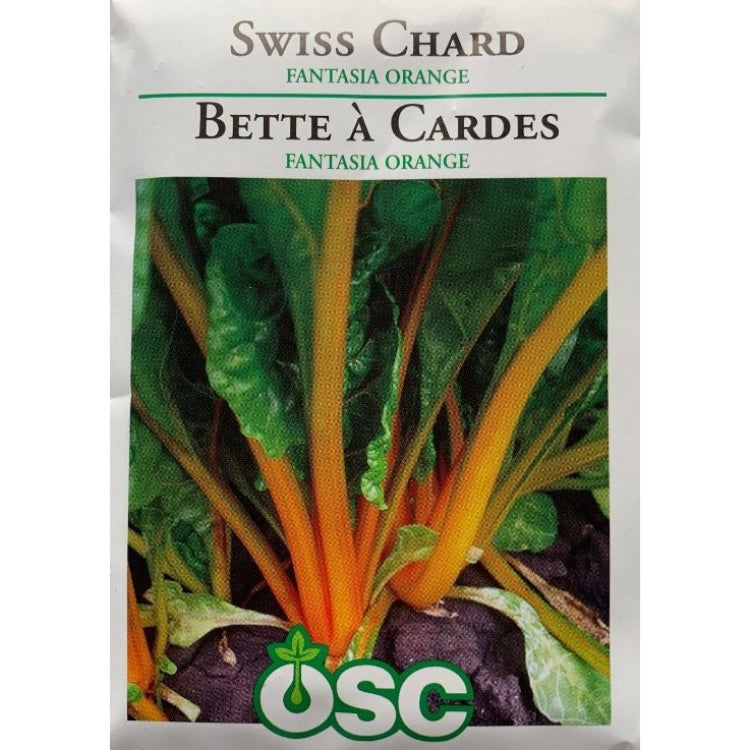 Swiss Chard Seeds- Fantasia Orange