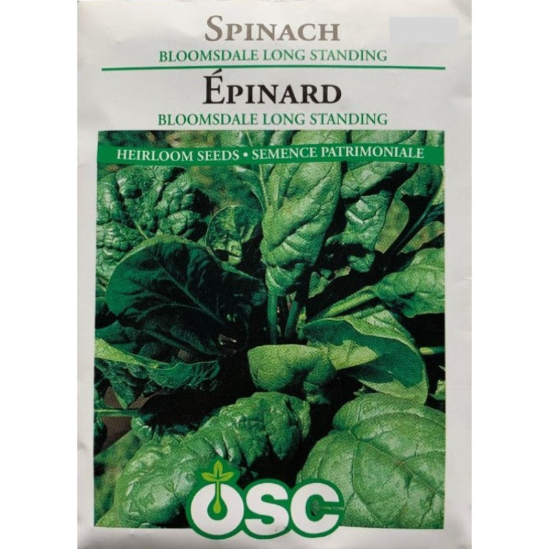 Spinach Seeds- Bloomsdale Long Standing