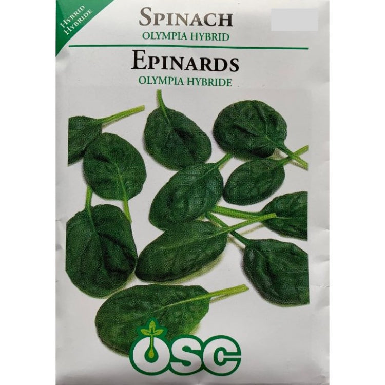 Spinach Seeds- Olympia Hybrid