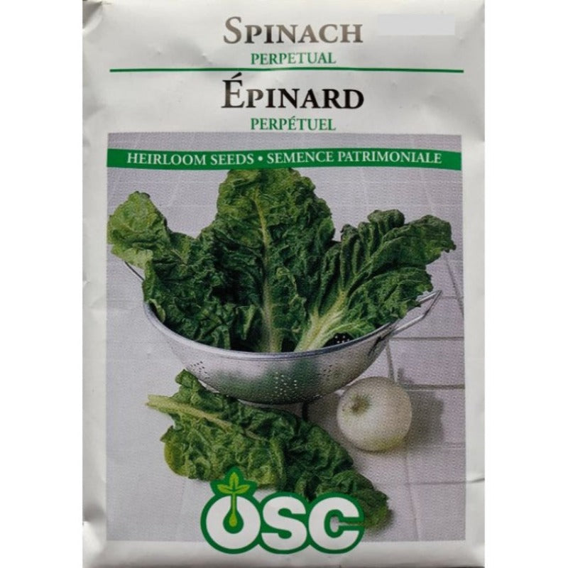 Spinach Seeds- Perpetual