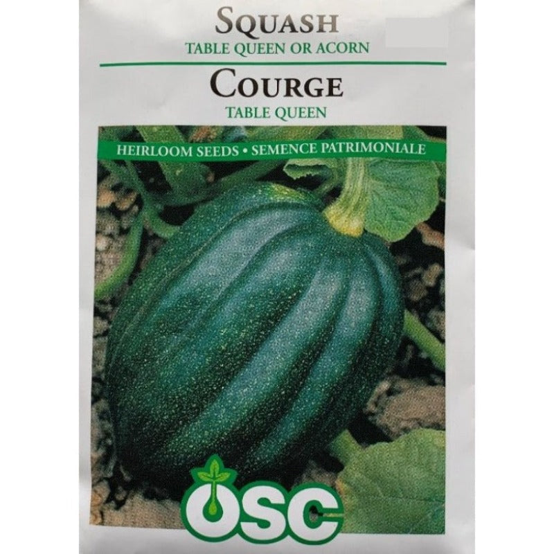 Squash Seeds- Table Queen or Acorn