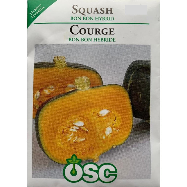 Squash Seeds- Bon Bon Hybrid