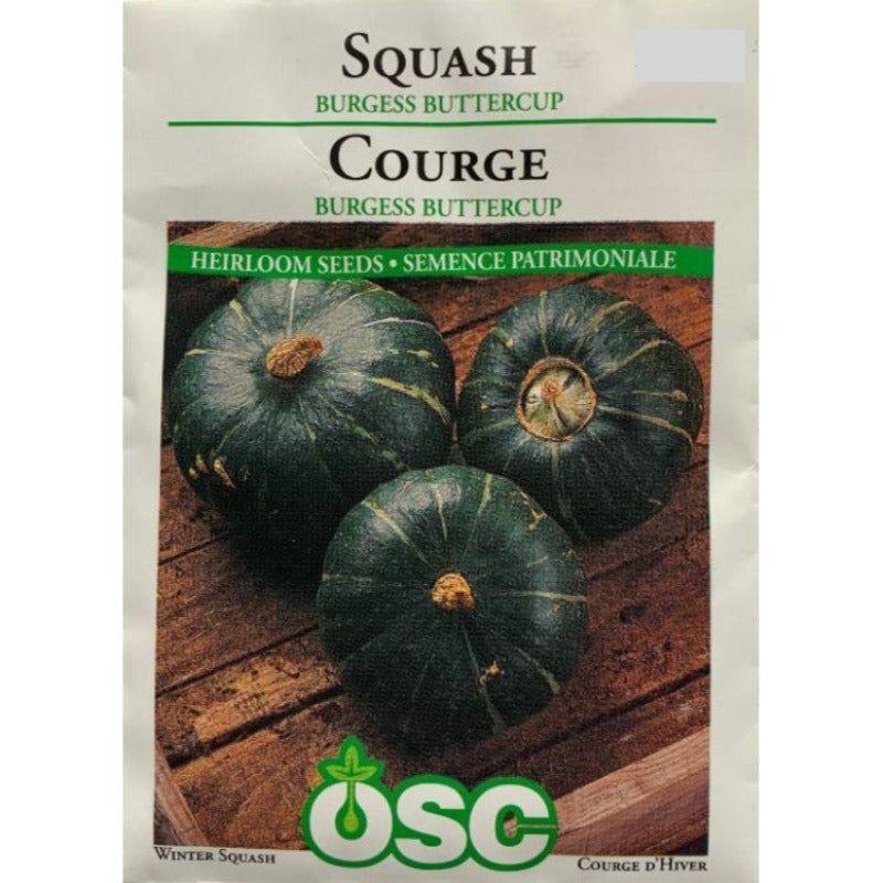 Squash Seeds- Burgess Buttercup