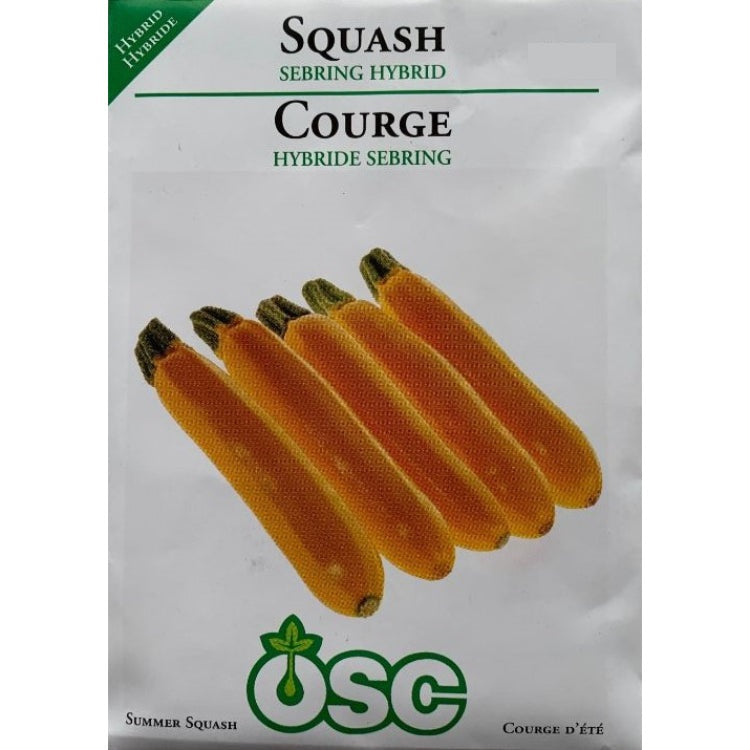 Squash Seeds- Sebring Hybrid