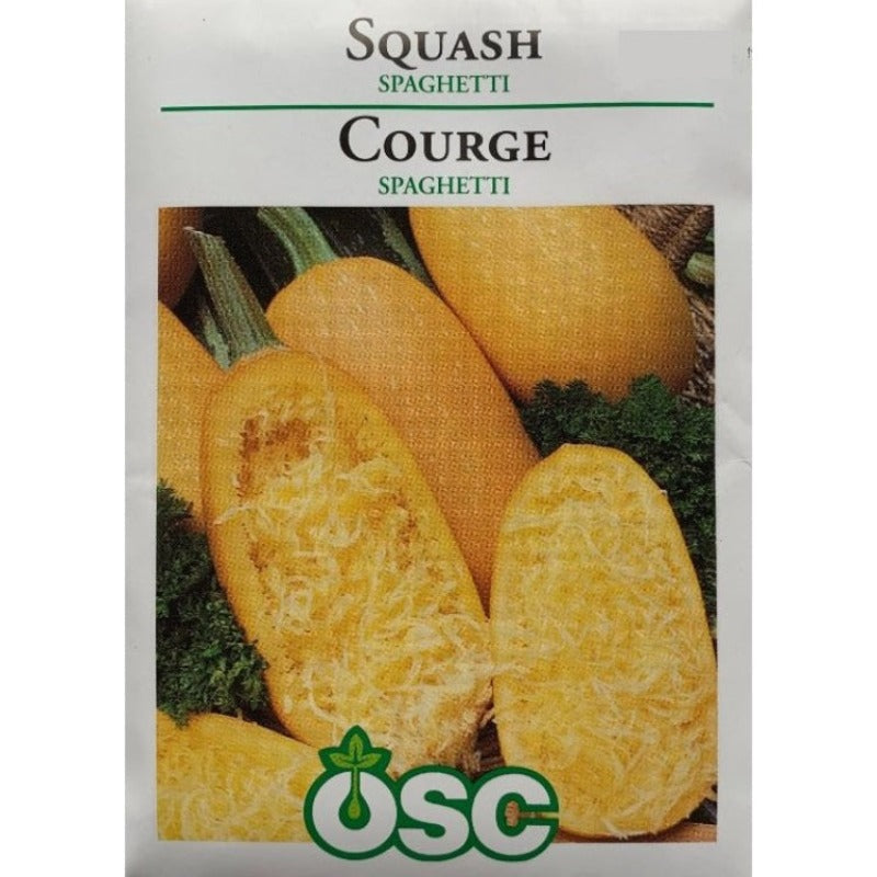 Squash Seeds- Spaghetti