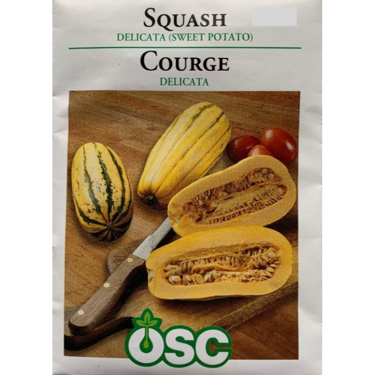 Squash Seeds- Delicata (Sweet Potato)