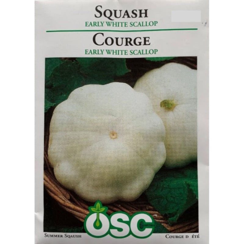 Squash Seeds- Early White Scallop