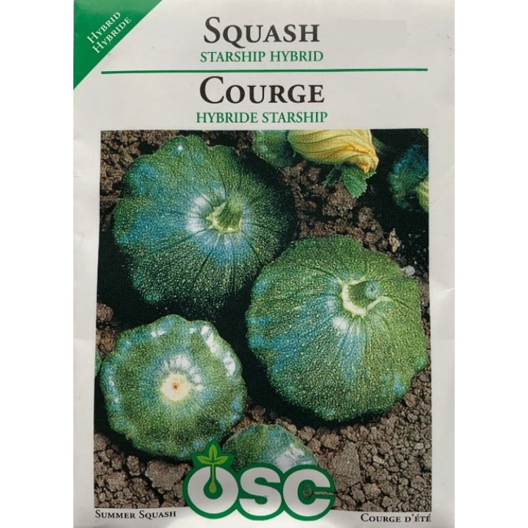 Squash Seeds- Starship Hybrid