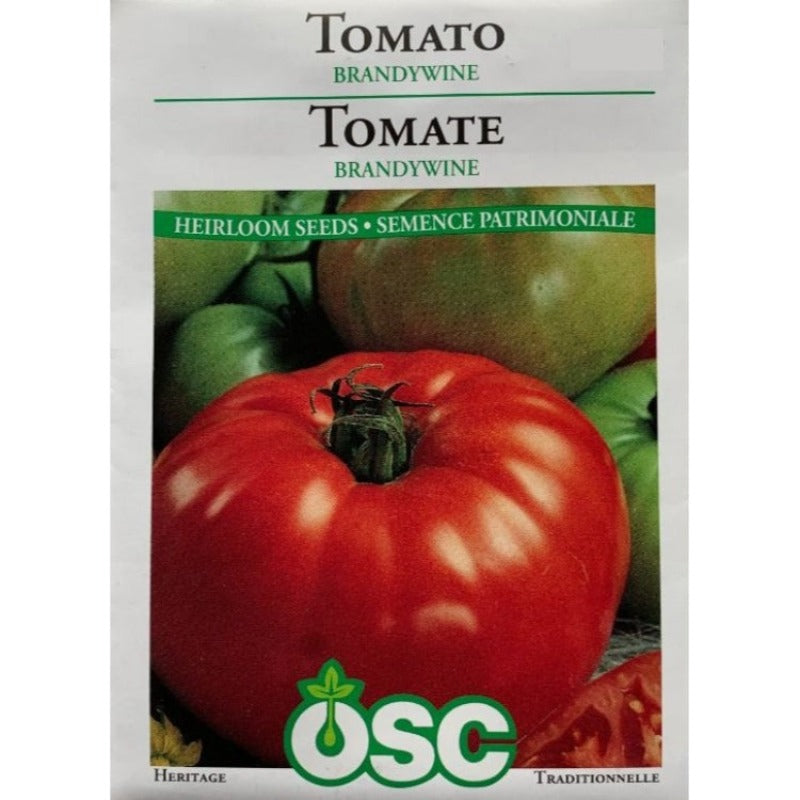 Tomato Seeds- Brandywine