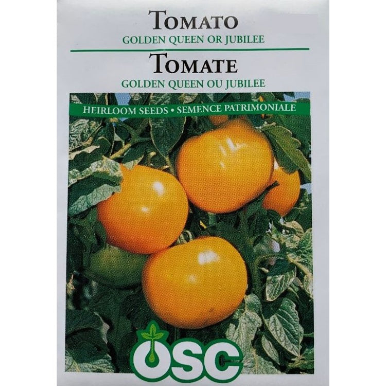 Tomato Seeds- Golden Queen or Jubilee