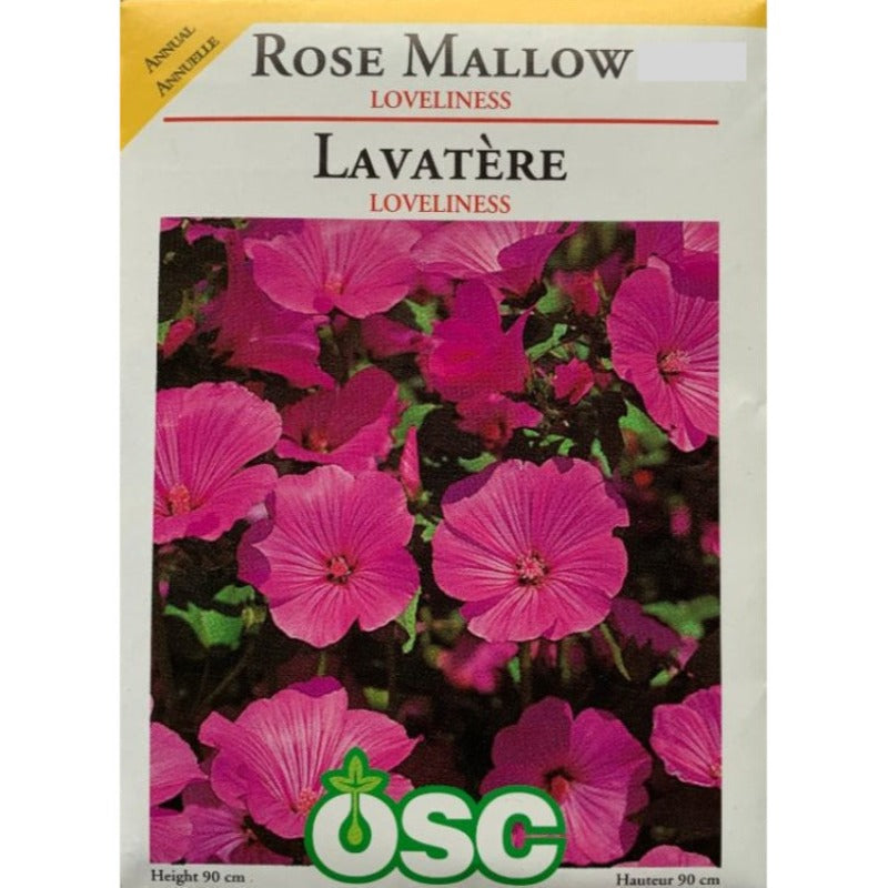 Rose Mallow Seeds- Loveliness