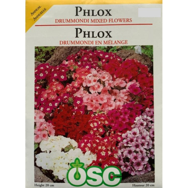 Phlox Seeds- Drummondi Mixed Flowers