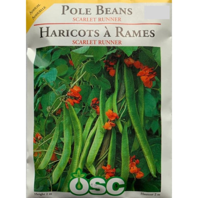 Pole Beans Seeds- Scarlet Runner