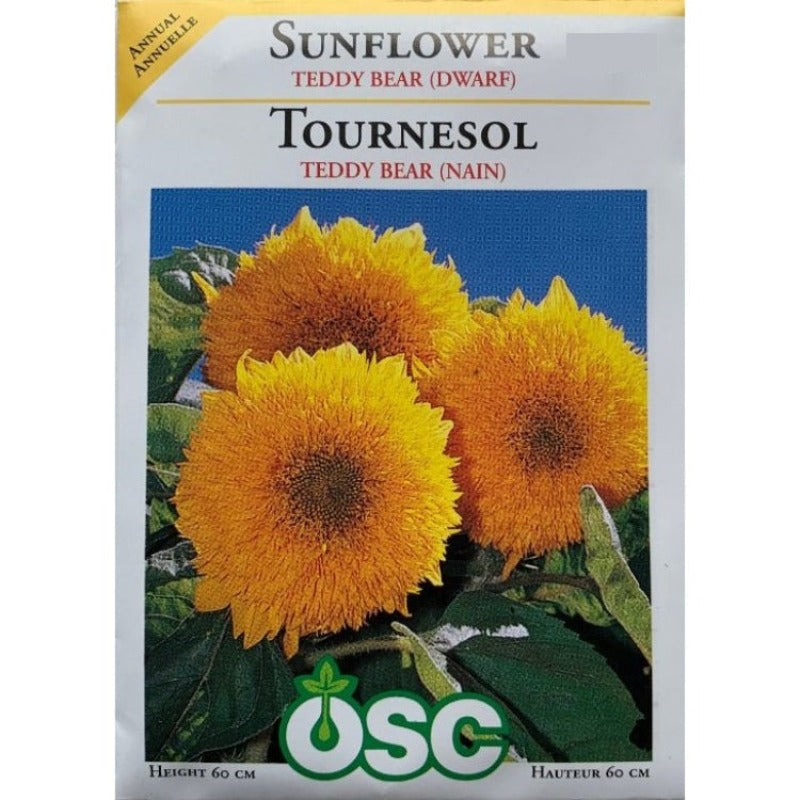 Sunflower Seeds- Teddy Bear (Dwarf)