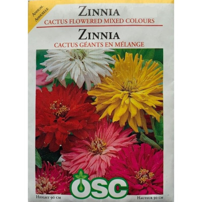 Zinnia Seeds- Cactus Flowered Mixed Colours