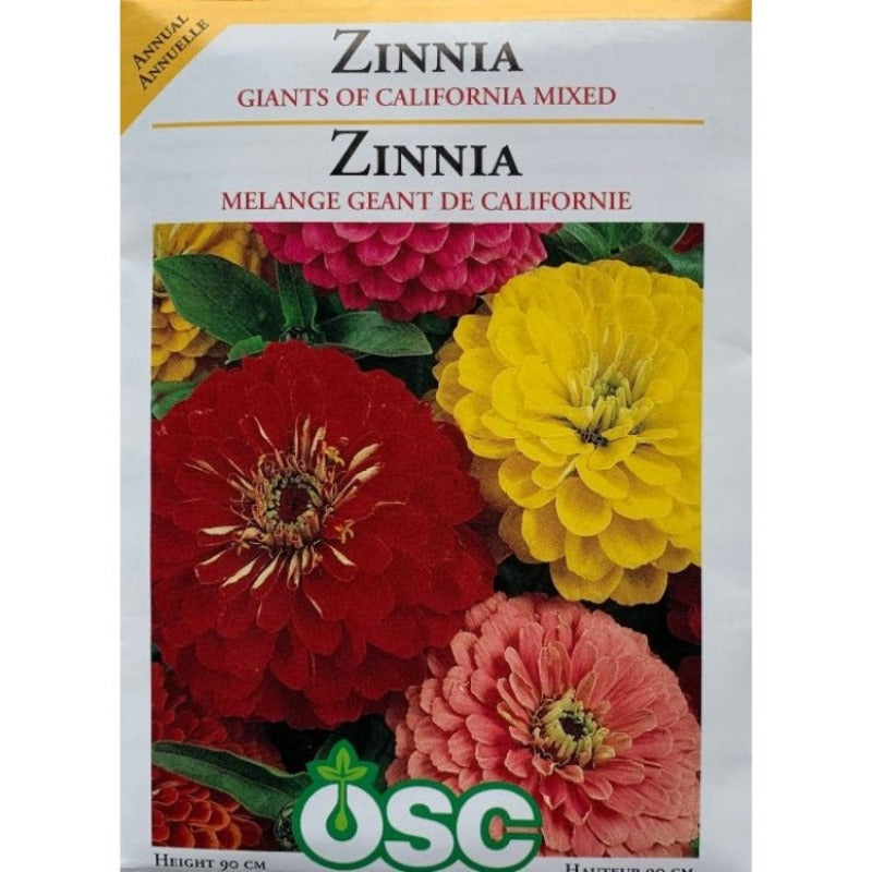 Zinnia Seeds- Giants Of California Mixed