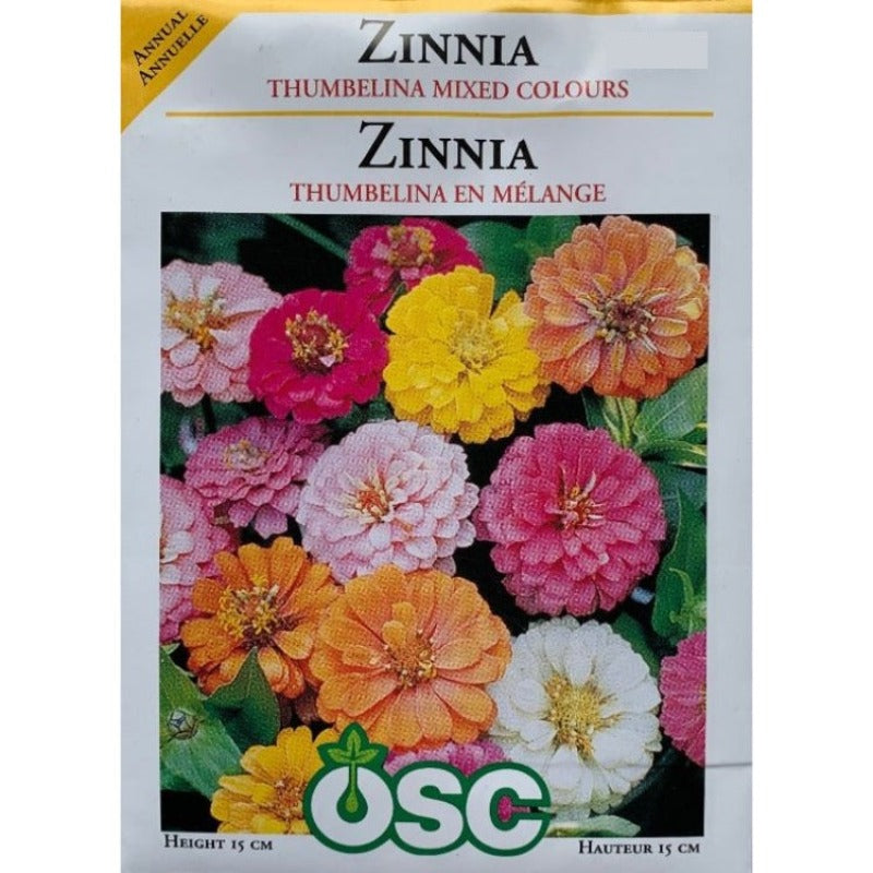 Zinnia Seeds- Thumbelina Mixed Colours