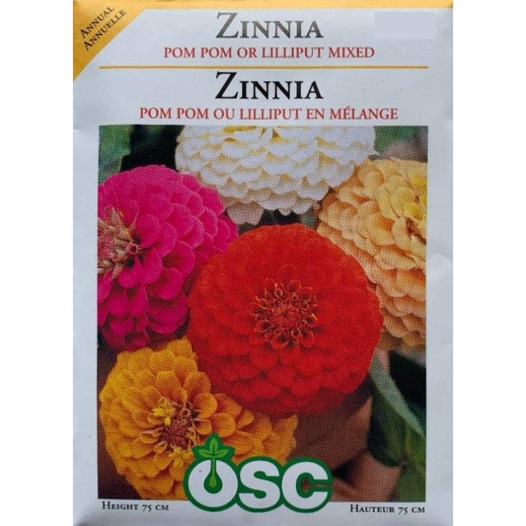 Zinnia Seeds- Pom Pom or Lilliput Mixed