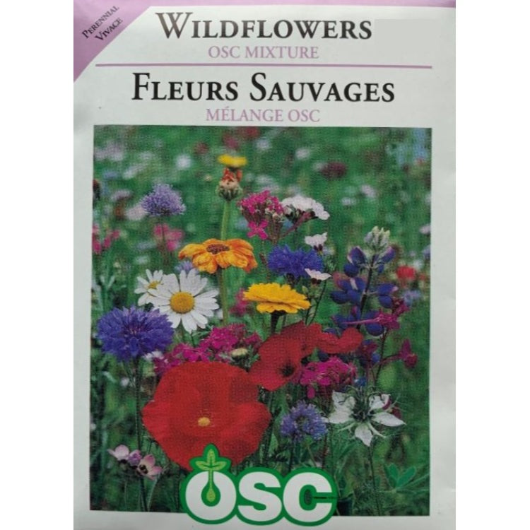 Wildflower Seeds- OSC Mixture