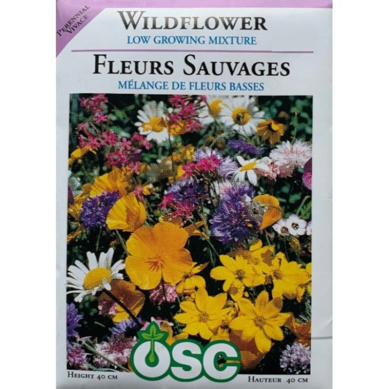 Wildflower Seeds- Low Growing Mixture