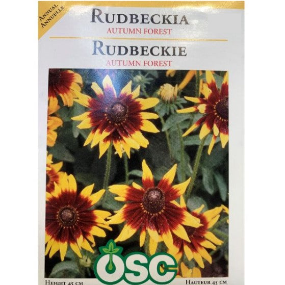 Rudbeckia - Autumn Forest