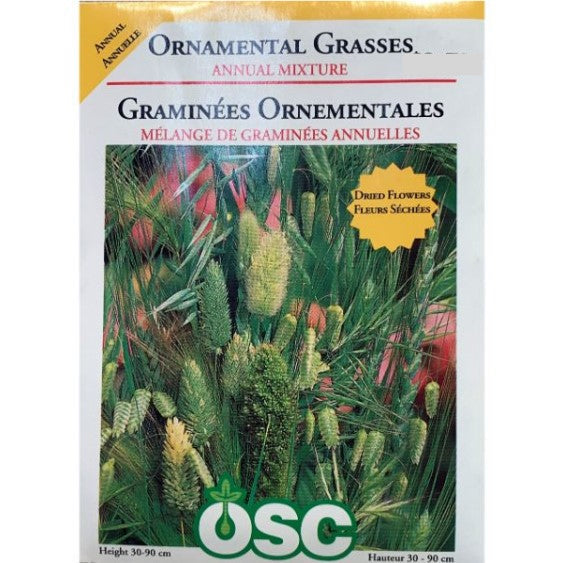 Ornamental Grasses - Annual Mixture