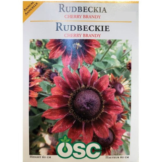 Rudbeckia - Cherry Brandy