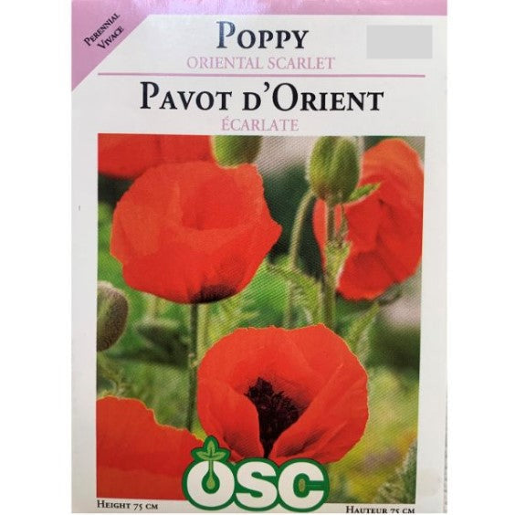 Poppy - Oriental Scarlet