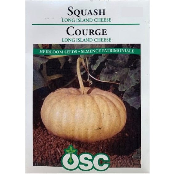 Squash Seeds- Long Island Cheese