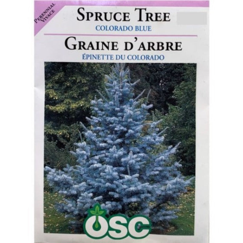 Spruce Tree Seeds - Colorado Blue