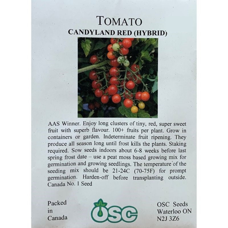 Tomato Seeds- Candyland Red (Hybrid)