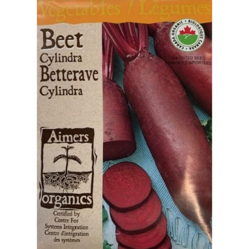 Organic Beet Seeds- Cylindra