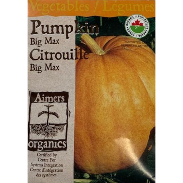 Organic Pumpkin Seeds- Big Max