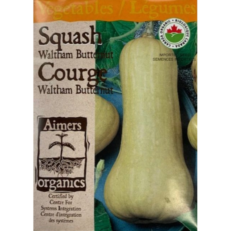 Organic Squash Seeds- Waltham Butternut