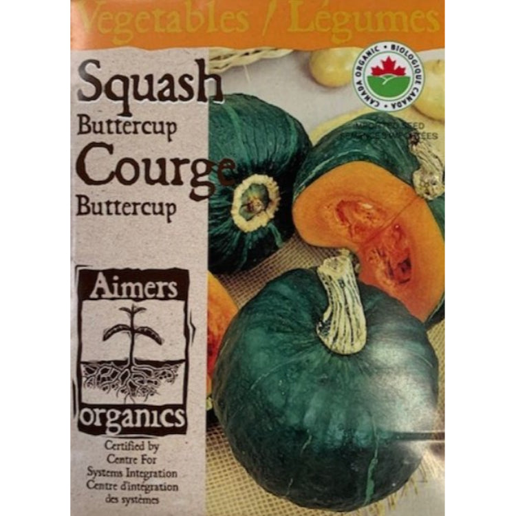 Organic Squash Seeds- Buttercup