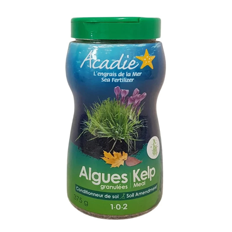 ALGOFLASH KELP MEAL 1-0-2 375G