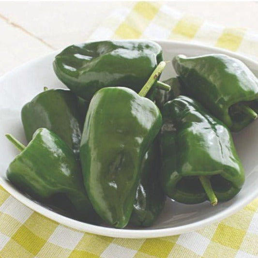 Pepper - Ancho Poblano (Hot)