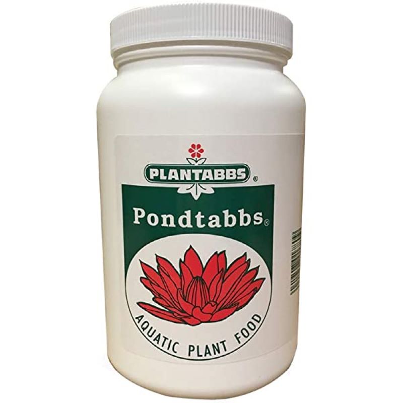 PONDTABBS AQUATIC PLANT FOOD PODS